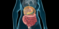 Gastroenterology