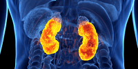 Nephrology