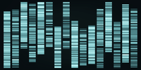 Bioinformatics